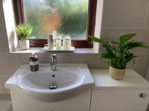 ein Waschbecken mit einem Fenster und einer Topfpflanze in der Unterkunft Self Contained Guest Suite in South Milford