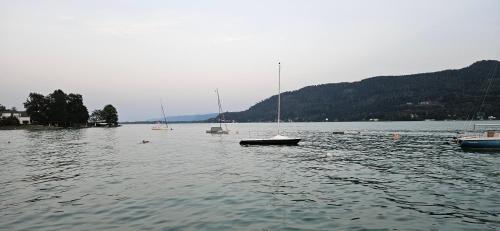 Φυσικό τοπίο κοντά σε αυτό το διαμέρισμα