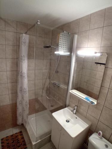 une salle de bain avec une douche, un lavabo et des toilettes dans l'établissement T3 grande terrasse bord de mer, au Barcarès