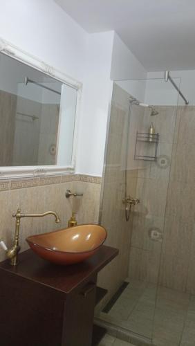 La salle de bains est pourvue d'un lavabo et d'une douche. dans l'établissement Karina House, à Braşov