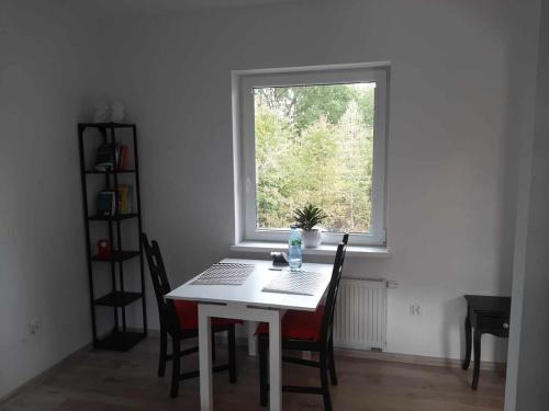 mesa y sillas en una habitación con ventana en Apartament Rychwałd en Rychwałd