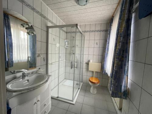 a bathroom with a shower and a sink and a toilet at Panoramavilla Heidenau in Heidenau