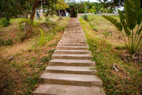 a long stone path in a field with trees at Mikoko Beach & Cottages in Bagamoyo