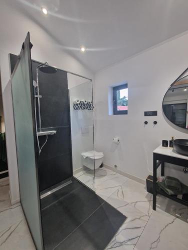 Un baño con ducha de cristal y un inodoro. en Apartman Oli 1, en Poreč