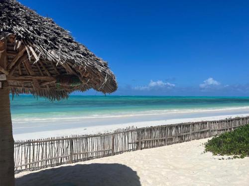 een strand met een rieten parasol en de oceaan bij Stonefish Inn Jambiani in Jambiani