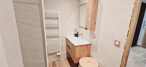 une salle de bain avec un lavabo, des toilettes et un miroir dans l'établissement Le Claudius, à Annecy