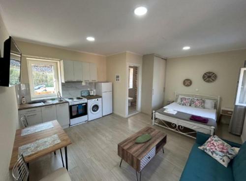 a large living room with a couch and a table at Anmare Studios in Nydri