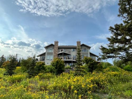 a house on a hill with a field of flowers at MyLutsen in Lutsen