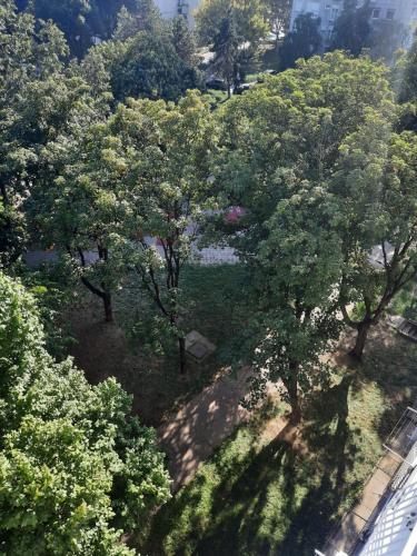 eine Aussicht über einen Park mit Bäumen in der Unterkunft Apartman JOVANA in Dušanovac (historical)