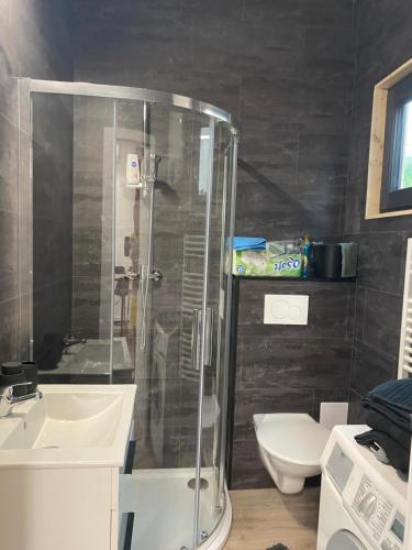 La salle de bains est pourvue d'une douche, d'un lavabo et de toilettes. dans l'établissement Tiny House, à Pardubice