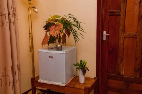 a plant on top of a refrigerator on a table at Mikoko Beach & Cottages in Bagamoyo
