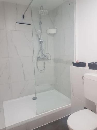 La salle de bains blanche est pourvue d'une douche et de toilettes. dans l'établissement Wohnung Daria, à Neu-Anspach