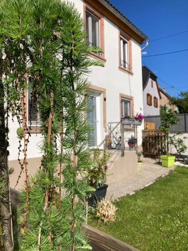 a tree in the yard of a house at Gîte Le 1602 in Saint-Nabor