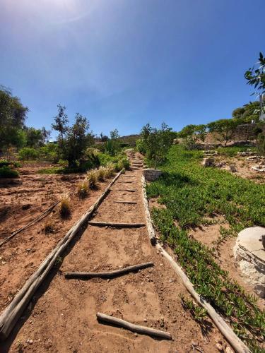 a dirt road with sticks on the ground at Dar Janoub in Beni Balla