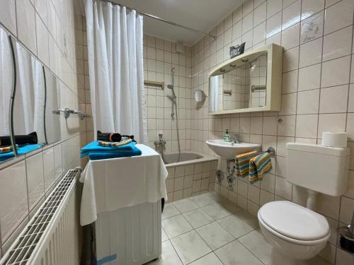 a bathroom with a toilet and a sink at Ruhige Ferienwohnung Lutherstraße in Rudolstadt