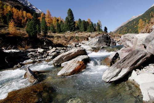 a river with rocks and trees in the background at Ferienhaus Tirolerhof in Kals am Großglockner