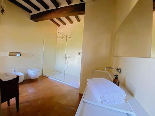 een badkamer met een douche, een toilet en een wastafel bij Castello di Viano in Viano