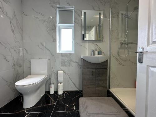 a bathroom with a toilet and a sink and a shower at Modern design residence in Dublin