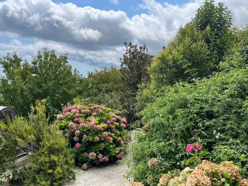 a garden filled with lots of plants and flowers at Guest House Pafili in Zagora