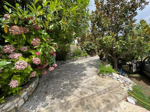 a garden path with flowers and trees on the side at Guest House Pafili in Zagora