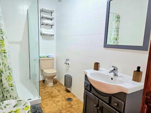 a bathroom with a sink and a toilet and a mirror at Brisas del Roque Garachico Ático in Garachico