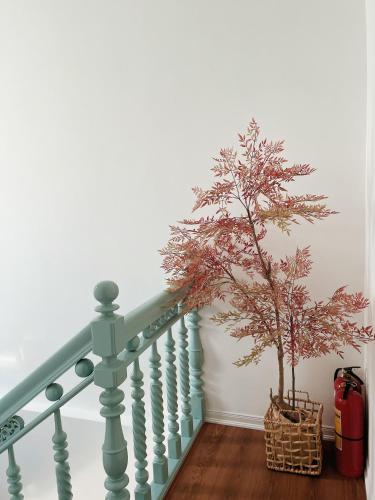 a tree in a basket next to a staircase at Under the Sun Homestay in Hue