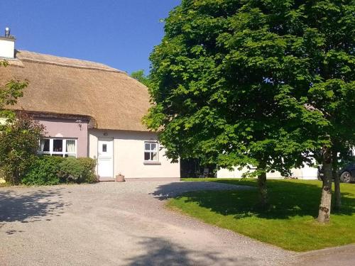 a thatched house with a tree and a driveway at Kilarney cottage in Killarney