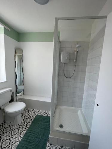 a bathroom with a shower and a toilet at The Big One Blackpool in Blackpool
