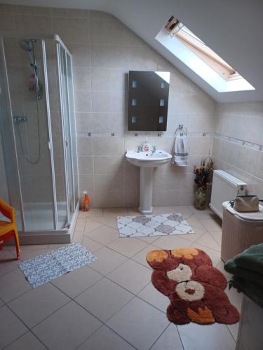 een badkamer met een wastafel, een douche en een teddybeer tapijt bij Country Haven eircode H54 AK31 in Galway