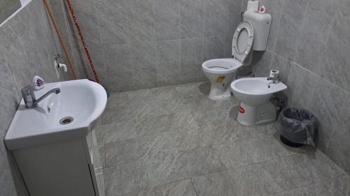 a bathroom with a toilet and a sink at TC Vest Residence in Leţcani