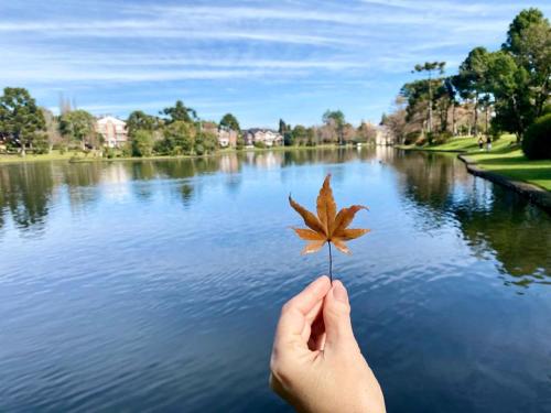 a person holding a maple leaf in front of a lake at Espetacular apartamento em Canela, Laje de Pedra - Mountain Village in Canela