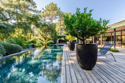 a swimming pool with a wooden deck with a potted tree at Villa AmanJango in Seignosse