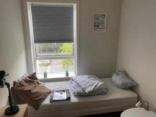 een kamer met een bed met kussens en een raam bij Hyggeligt lille værelse in Odense