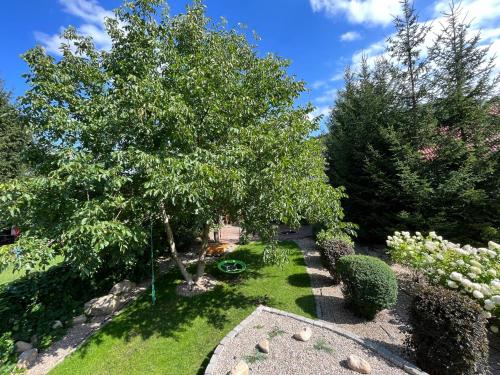 a garden with a tree and some bushes at U Gruszków - domek pod Chojnikiem in Jelenia Góra
