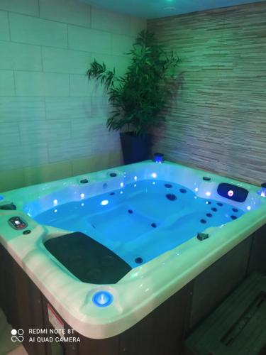 a jacuzzi tub in a room with a plant at O spa de Caudry in Caudry
