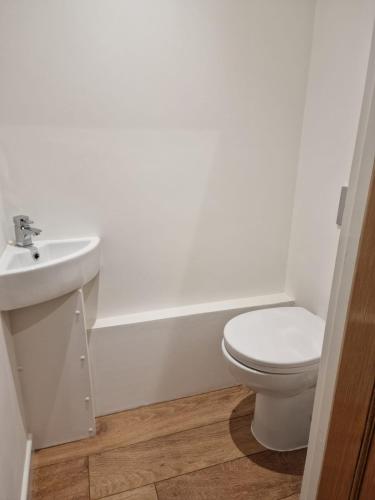 ein Badezimmer mit einem weißen WC und einem Waschbecken in der Unterkunft Cosynitebnb for 4 in Birmingham