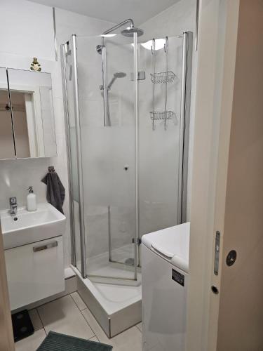 a bathroom with a shower and a sink at City Appartement 2 Hannover Altstadt in Hannover