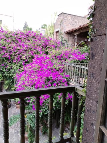 Un balcón o terraza de Hacienda Las Amantes