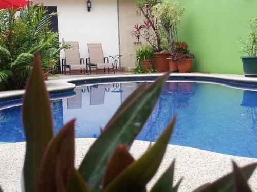 a swimming pool with plants and chairs next to it at Hotel La Guaria Inn & Suites in Alajuela City