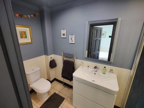 a bathroom with a toilet and a sink and a mirror at Achalochan House in Ose