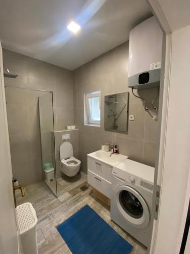 a bathroom with a washing machine and a toilet at Vila Oaza in Trebinje