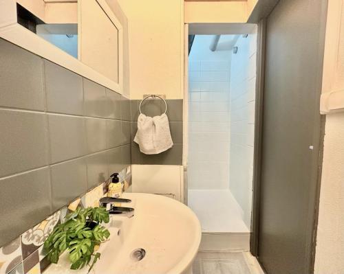 La salle de bains est pourvue d'un lavabo et d'une douche. dans l'établissement La Terrasse, charmant studio en Centre Ville, à Lens