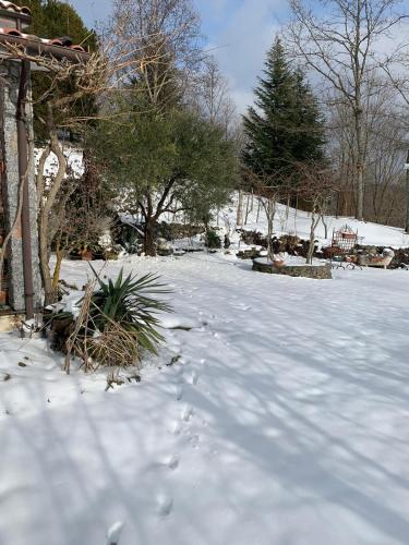 a snow covered yard with trees and a house at Villa Franca in Castelluccio Inferiore