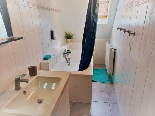 une salle de bain avec un lavabo et une douche dans l'établissement La ferme de Georges Apt 1 à 6 pers, à Bischholtz