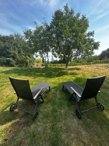 two chairs and a picnic table in a field at Casa Mido Badacsony in Badacsonytomaj