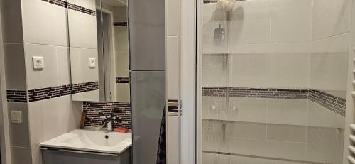 a bathroom with a glass shower and a sink at STUDIO 22M2 A IVRY/SEINE-A 200 METRES DE PARIS. PROCHE METRO 7 in Ivry-sur-Seine