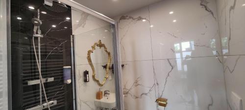 a bathroom with a shower and a mirror on the wall at XuBa ApartmentRooms Messe Wien Prater in Vienna