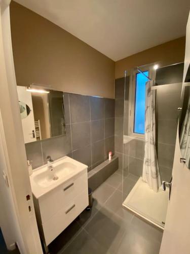une salle de bain avec un lavabo et une douche dans l'établissement Appartement 125m2 au centre de Cusset, à Cusset