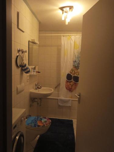 ein Badezimmer mit WC und Waschbecken mit Sonnenbrille auf dem Duschvorhang in der Unterkunft Ferienwohnung in München