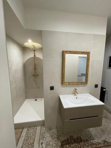 ein weißes Bad mit einem Waschbecken und einer Dusche in der Unterkunft Appartement chic et de caractère ! in Saint-Cyr-au-Mont-dʼOr